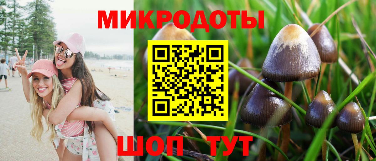 купить наркотик  Вход с VPN  Галлюциногенные грибы мухоморы  Энгельс  Галлюциногенные грибы Cubensis 
