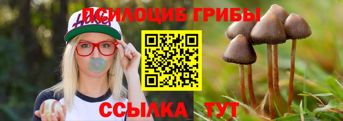 Галлюциногенные грибы MAGIC MUSHROOMS Энгельс
